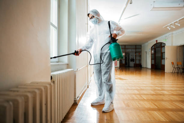 Best Emergency Pest Control  in South Duxbury, MA
