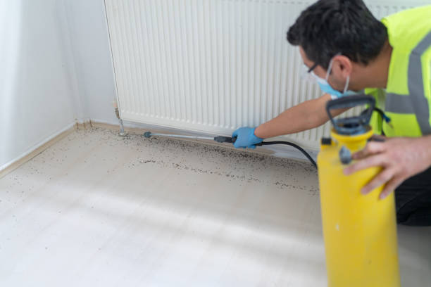 Professional Pest Control in South Duxbury, MA
